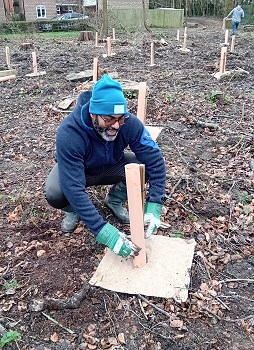 Tree planting image showing new trees being planted in the ancient woodland restoration project at Sherfield Park. Tree planting image showing new trees being planted in the ancient woodland restoration project at Sherfield Park.