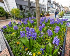 Town centre love - Planters