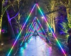 Light Fantastic - Lets Glow