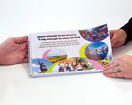 Proposals for future Hampshire councils