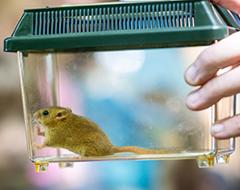 BioBlitz