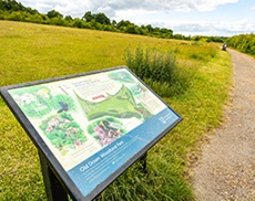 Open space at Old Down Woodland Park, Basingstoke