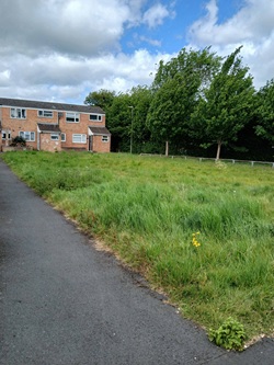 Open spaces around Culver Road - Image 2